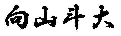 代表取締役社長 向山斗大