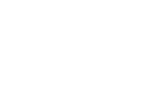 分野 自動車産業